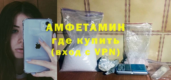 шишки Корсаков