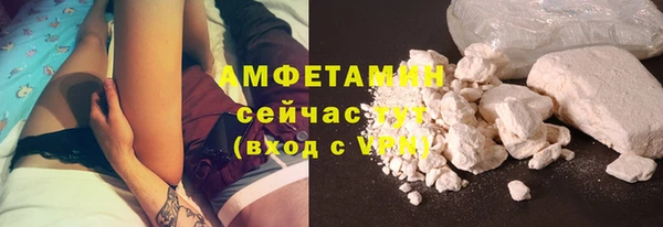шишки Корсаков