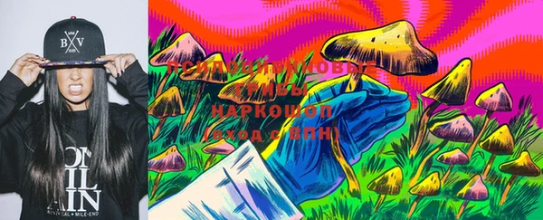 шишки Корсаков