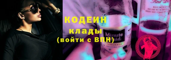 шишки Корсаков