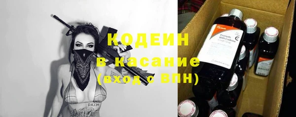 шишки Корсаков
