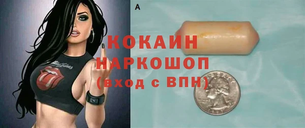 гидра Коряжма