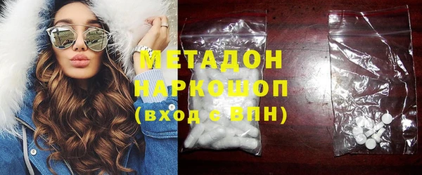 шишки Корсаков