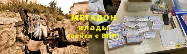 шишки Корсаков
