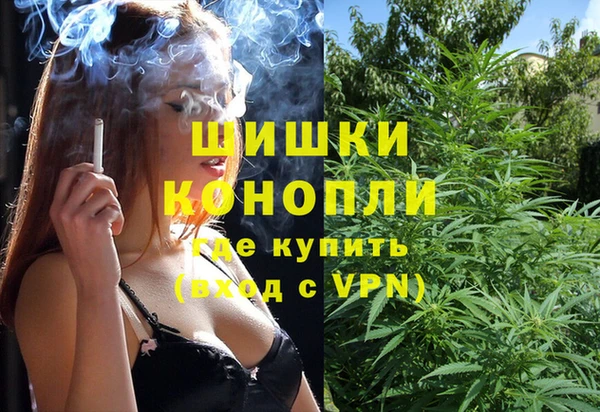 дживик Киренск