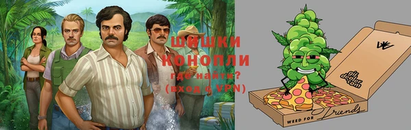 гидра Коряжма