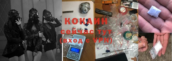 шишки Корсаков