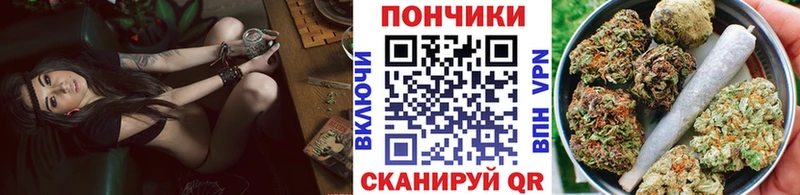 Купить закладки  Бакал  Каннабис ГИДРОПОН 